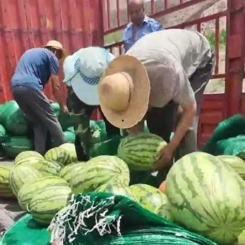 围观群众 除了吃瓜,吃瓜之余，探寻社会现象背后的真相  第3张