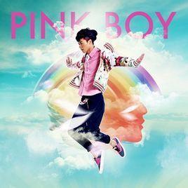 pinkboy吃瓜,揭秘娱乐圈幕后故事  第2张