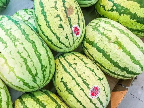 4个吃瓜视频,揭秘网络热点背后的故事  第2张