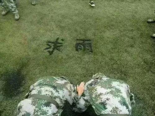 人类吃瓜返祖现场