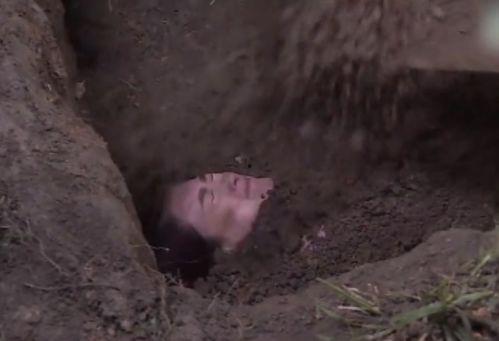 人类吃瓜返祖现场  第3张