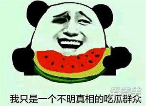 吃瓜的意思网名,揭秘网络世界中的“吃瓜群众”