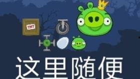 红头猫吃瓜,红头猫的瓜田奇遇记