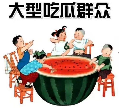 小说吃瓜幸运鹅,一场奇妙的穿越之旅