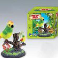 小鸟吃瓜玩具展示,小鸟吃瓜玩具，童趣盎然新玩法