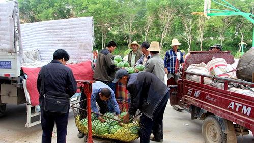 徐闻吃瓜群众,揭秘当地独特民俗风情