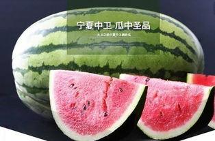 鲤鱼吃瓜的视频,趣味横生的水下奇观