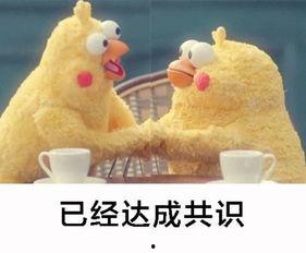 吃瓜的外号,揭秘吃瓜群众的趣味生活