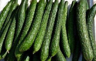 吃瓢瓜可以减肥吗