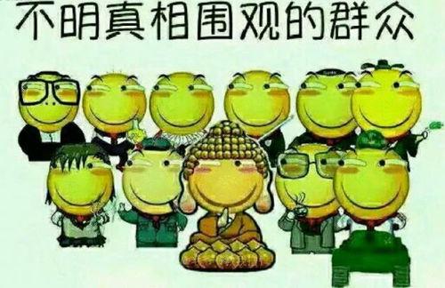 吃瓜群众小美同学,吃瓜群众的校园生活点滴