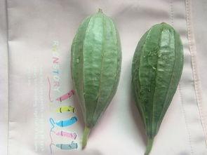 怎么叫朋友吃瓜,一起探索朋友间的趣味互动