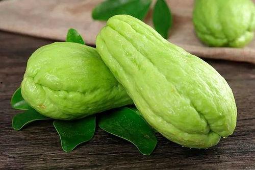 脾胃虚热可以吃小瓜吗,脾胃虚热者适宜食用的小瓜养生之道