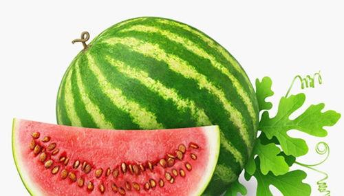 做梦在瓜地里卖瓜吃瓜,一场奇幻的卖瓜吃瓜之旅