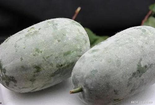 吃瓜第一线吃瓜,揭秘娱乐圈幕后风云