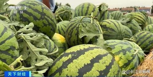 最新最热门吃瓜,揭秘明星幕后真相，带你领略娱乐圈风云变幻