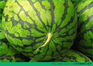 吃烧瓜能有哪些好处,吃烧瓜的五大健康益处揭秘