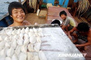 中国渔民在线吃瓜,网络热议引发社会关注