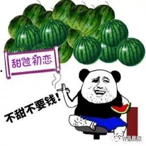 去买瓜吃,去哪儿买瓜吃最划算？