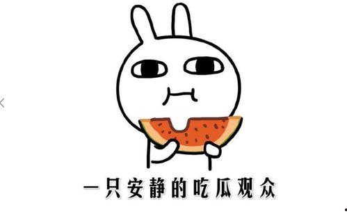 被吃瓜啥意思,网络时代的舆论狂欢与隐私边界