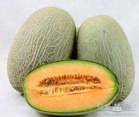 吃罐头可以吃哈密瓜吗,揭秘罐头食品中的美味之谜”