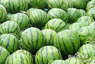 吃瓜技能有哪些,揭秘吃瓜达人必备的十大吃瓜技能