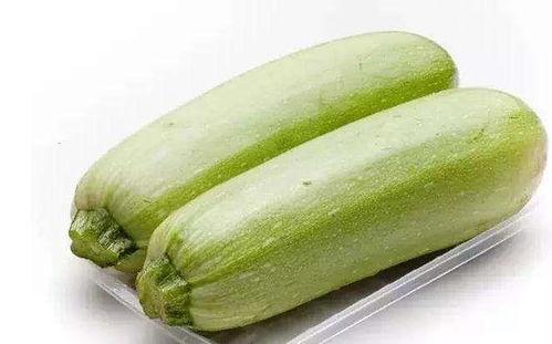 天天吃白瓜,每日一瓜，健康生活每一天