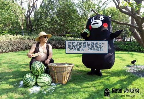 安徽平湖吃瓜事件,一场网络热议背后的真相与反思