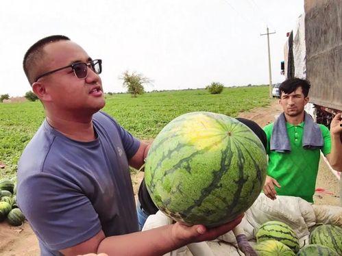 曹县吃瓜事件照片,一场网络狂欢背后的真相与反思