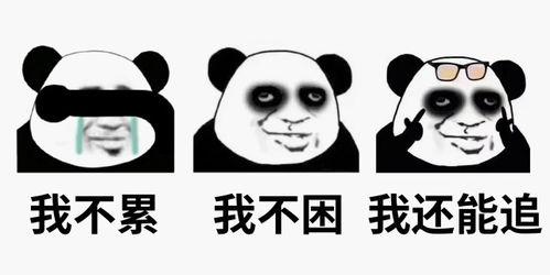 睡不着吃瓜QQ群,揭秘“睡不着吃瓜QQ群”的神秘魅力