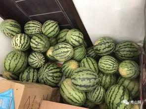 品尝吃瓜视频,跟随吃瓜视频探寻美食新天地