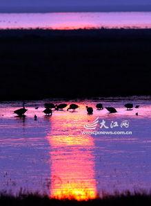 夕阳下的吃瓜人,夕阳映照下的悠闲吃瓜时光