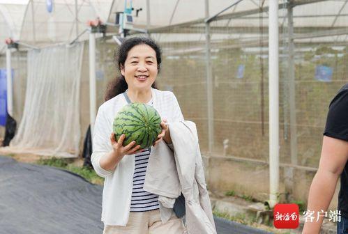 吴静吃瓜,揭秘娱乐圈幕后故事