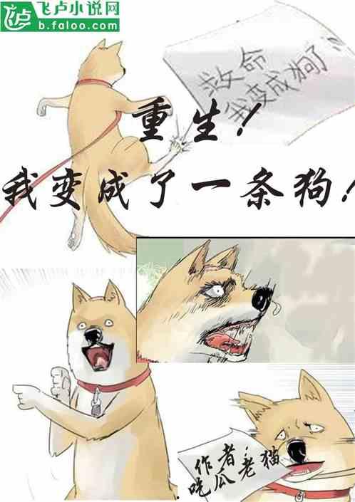 小说无语吃瓜免费阅读,一场别开生面的现代都市美食盛宴