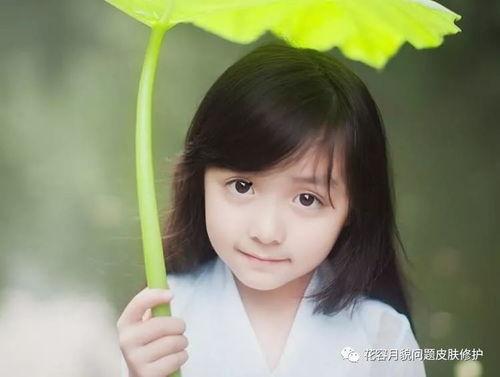 小仙女邵老板吃瓜,揭秘娱乐圈幕后故事