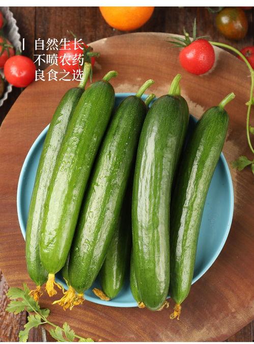 小茄瓜可以吃吗怎么吃,小茄瓜的食用方法与美味佳肴