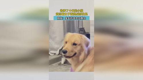 女人吃瓜变成猿猴,探寻神秘异变之谜 第2张 女人吃瓜变成猿猴,探寻神秘异变之谜 第2张