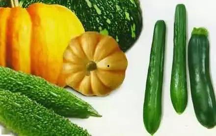 吃瓜技术排名,揭秘谁是瓜界高手  第2张