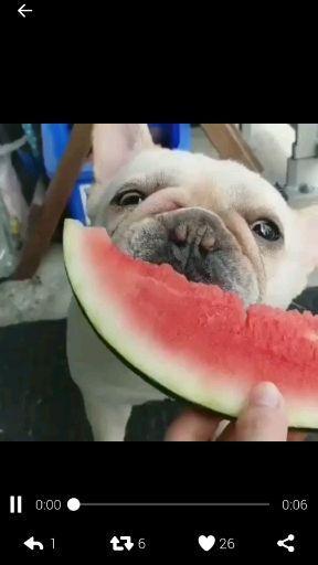 吃瓜群众聊天音频,趣味横生的日常对话集锦  第2张