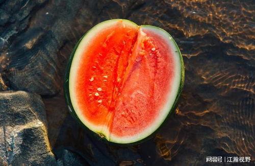 凉山会理吃瓜,夏日炎炎，吃瓜群众欢乐多  第3张