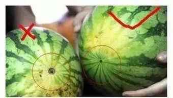 吃瓜独家秘笈作假,揭秘娱乐圈幕后真相  第2张