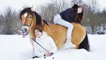 美女骑马吃瓜视频,悠闲吃瓜,诠释田园生活新风尚 第2张 美女骑马吃瓜视频,悠闲吃瓜,诠释田园生活新风尚 第2张