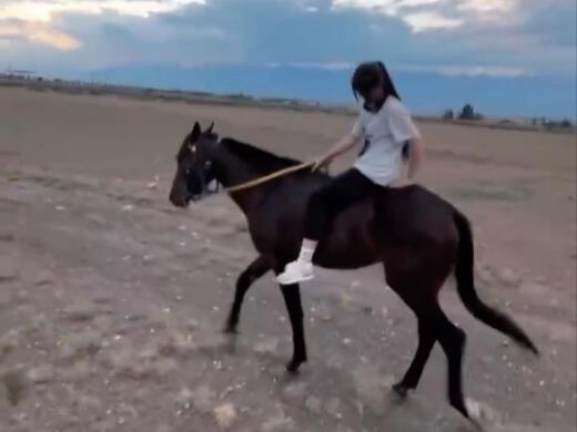 美女骑马吃瓜视频,悠闲吃瓜,诠释田园生活新风尚 第3张 美女骑马吃瓜视频,悠闲吃瓜,诠释田园生活新风尚 第3张