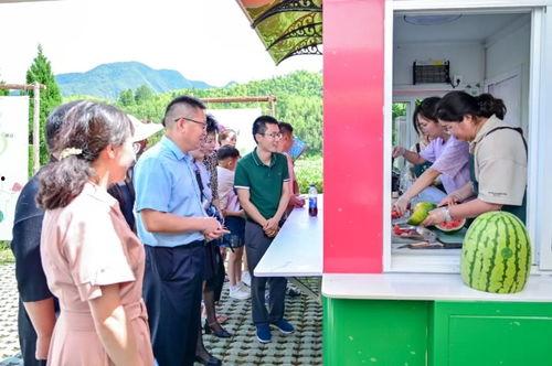 马山吃瓜大队,揭秘乡村里的“网红”现象