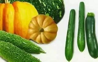 偷瓜吃稍瓜夜间摸瓜,摸瓜、吃瓜、稍瓜的趣味故事 第3张 偷瓜吃稍瓜夜间摸瓜,摸瓜、吃瓜、稍瓜的趣味故事 第3张