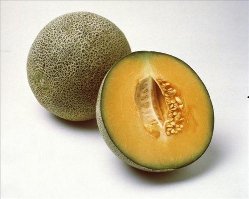 吃瓜趣味指南,趣味指南带你轻松解锁瓜界奥秘 第2张 吃瓜趣味指南,趣味指南带你轻松解锁瓜界奥秘 第2张