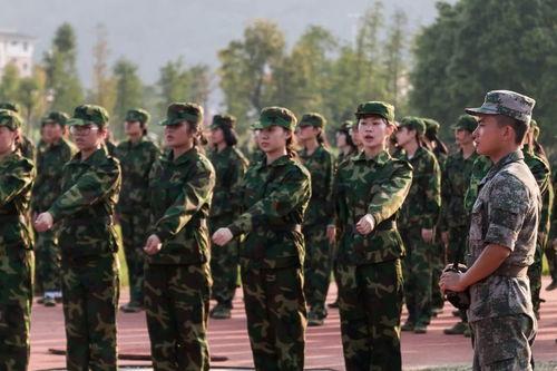 潍坊军训吃瓜网站,揭秘军训那些事儿