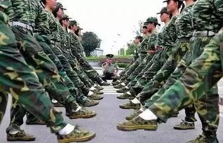 潍坊军训吃瓜网站,揭秘军训那些事儿  第2张