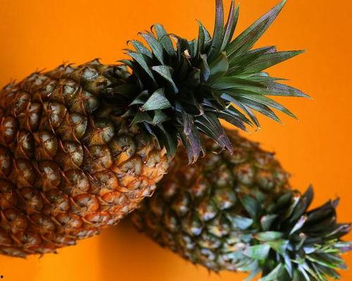 吃瓜的小菠萝  第2张