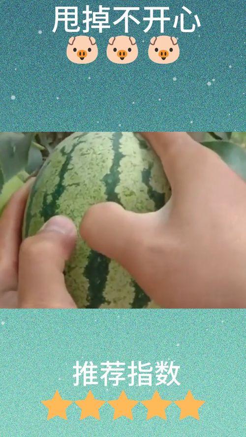 狗头君 吃瓜,揭秘娱乐圈那些不为人知的幕后故事