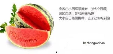 高瓜禾怎么吃 第2张 高瓜禾怎么吃 第2张